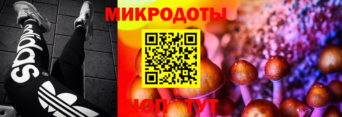 Унеча  MDMA  ГАШИШ  Вход с VPN  А ПВП СОЛЬ   Каннабис  Гашиш  Кокаин  МЕФ  